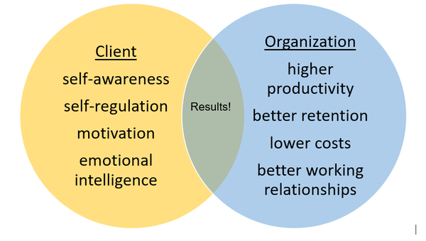 Executive Coaching Strategy Diagram